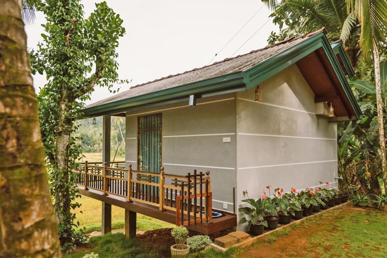 Rainforest Nest Deniyaya Exterior photo