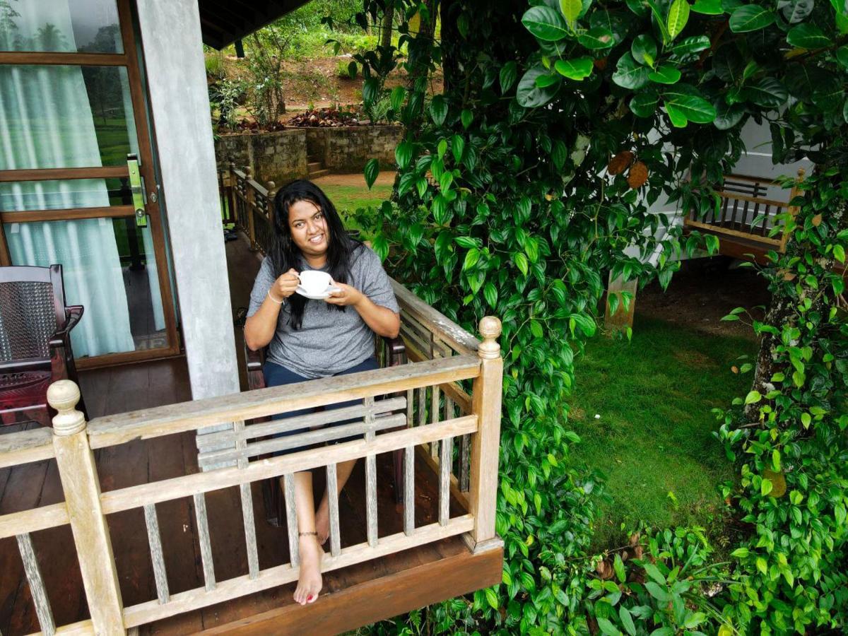 Rainforest Nest Deniyaya Exterior photo