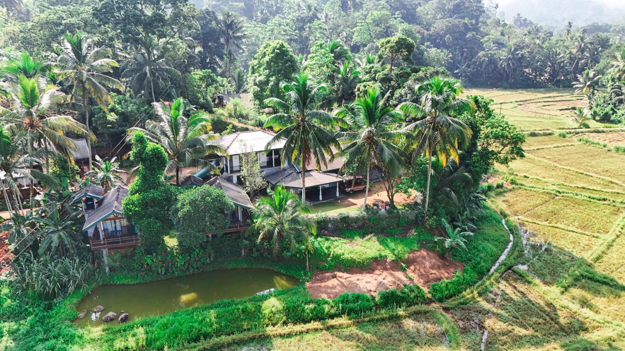 Rainforest Nest Deniyaya Exterior photo